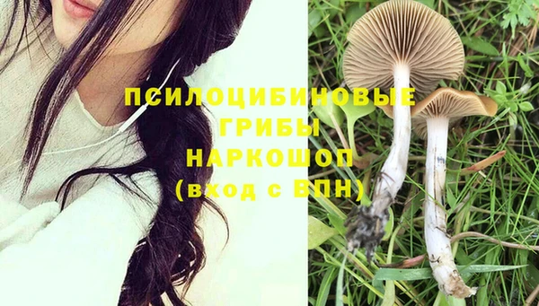 тгк Аркадак